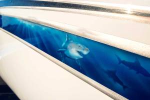 Underwater graphic on Jet